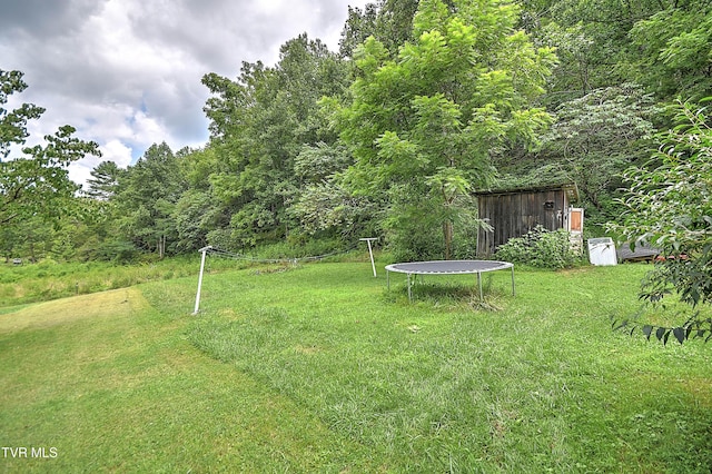 637 Morrell Creek Ln, Bluff City, TN 37618 - photo 10