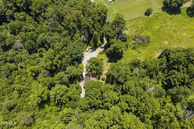 137 Forester Ln, Jonesborough, TN 37659 - photo 5