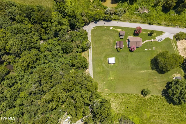137 Forester Ln, Jonesborough, TN 37659 - photo 6