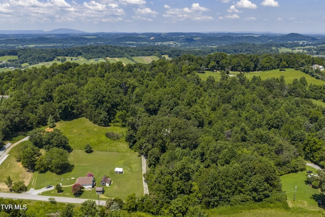 137 Forester Ln, Jonesborough, TN 37659 - photo 7