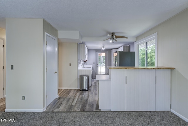 137 Forester Ln, Jonesborough, TN 37659 - photo 10