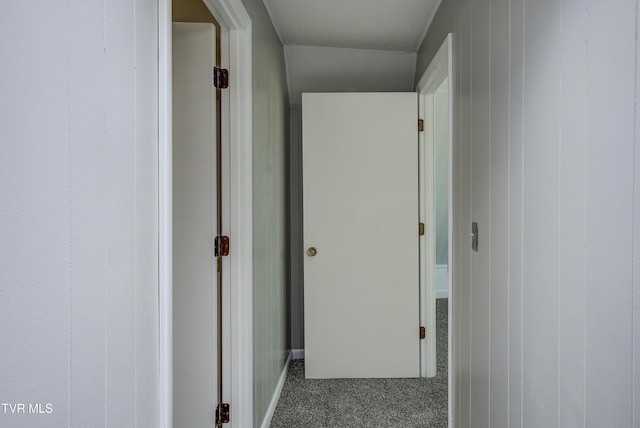 137 Forester Ln, Jonesborough, TN 37659 - photo 21