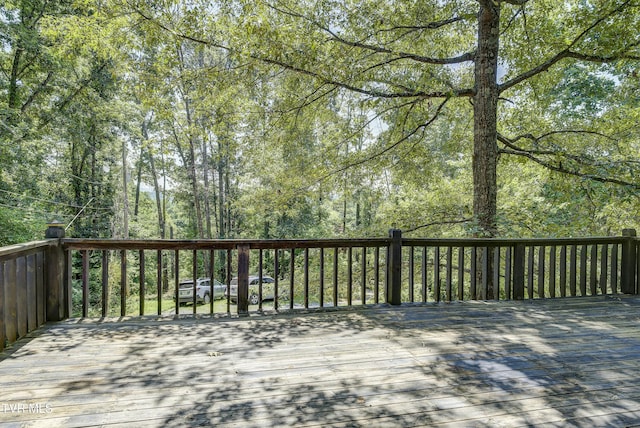 137 Forester Ln, Jonesborough, TN 37659 - photo 32