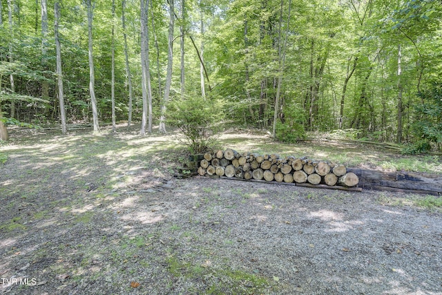 137 Forester Ln, Jonesborough, TN 37659 - photo 40