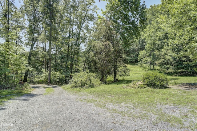 137 Forester Ln, Jonesborough, TN 37659 - photo 45
