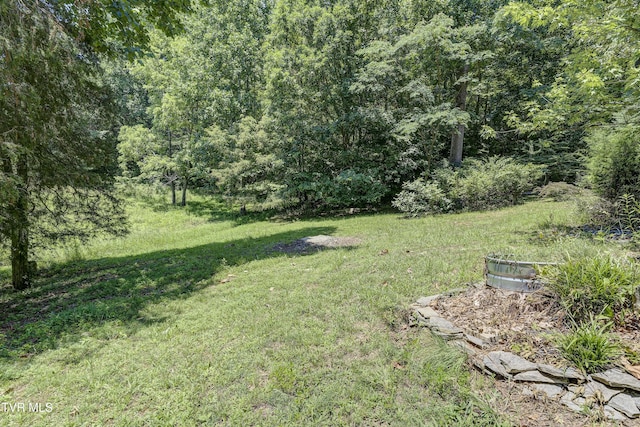 137 Forester Ln, Jonesborough, TN 37659 - photo 46