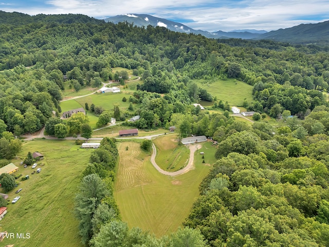 874 Fairview Rd, Hampton, TN 37658 - photo 7