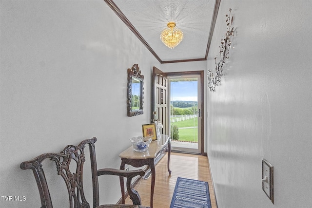 1256 S Old Kentucky Rd, Greeneville, TN 37743 - photo 31