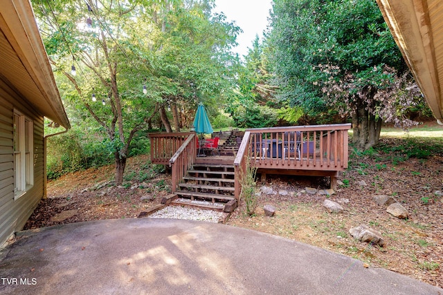 904 Broadwood Dr, Kingsport, TN 37660 - photo 40