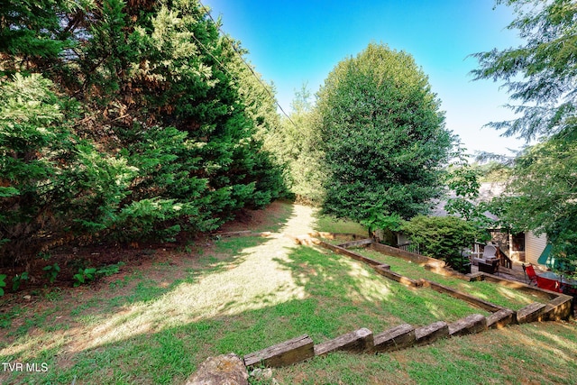 904 Broadwood Dr, Kingsport, TN 37660 - photo 45
