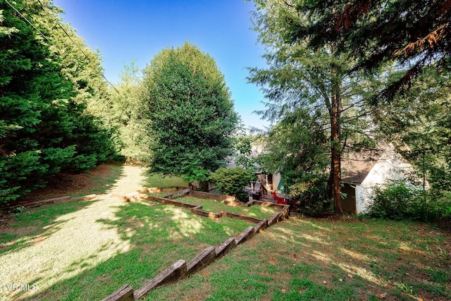 904 Broadwood Dr, Kingsport, TN 37660 - photo 46