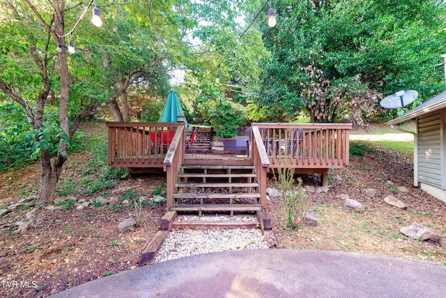 904 Broadwood Dr, Kingsport, TN 37660 - photo 51