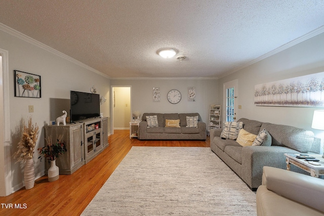 904 Broadwood Dr, Kingsport, TN 37660 - photo 8