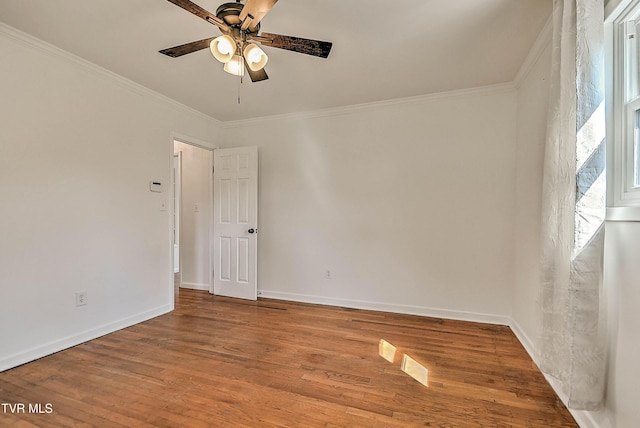 509 Paul St, Greeneville, TN 37743 - photo 46