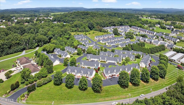 1303 Kensington Pl Unit 1303, Johnson City, TN 37615 - photo 4