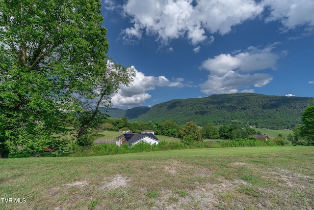 2225 Buena Vista Rd, Big Stone Gap, VA 24219 - photo 4