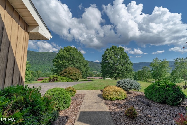 2225 Buena Vista Rd, Big Stone Gap, VA 24219 - photo 5