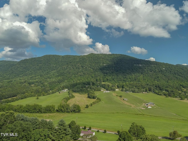 2225 Buena Vista Rd, Big Stone Gap, VA 24219 - photo 41