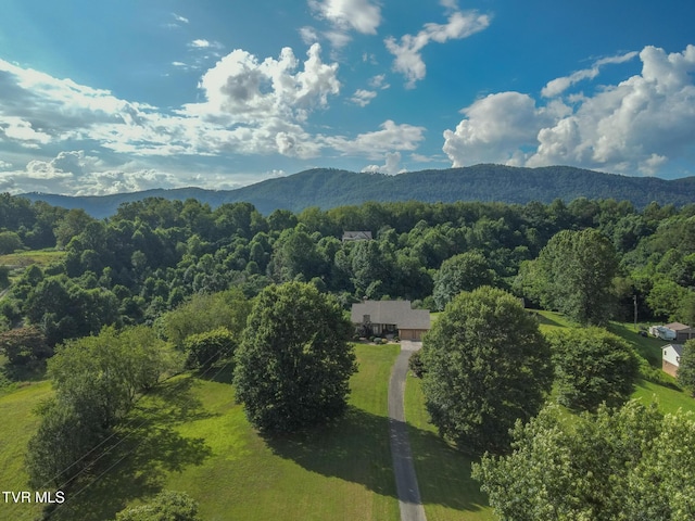 2225 Buena Vista Rd, Big Stone Gap, VA 24219 - photo 3