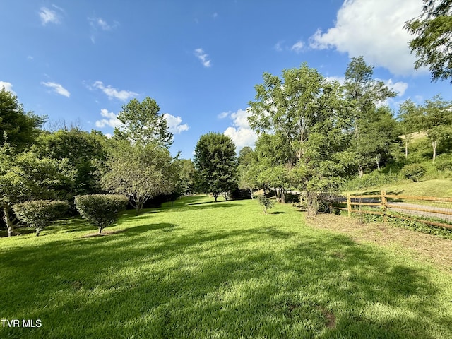 672 Stage Coach Loop, Mountain City, TN 37683 - photo 8