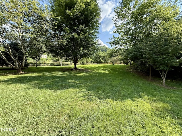 672 Stage Coach Loop, Mountain City, TN 37683 - photo 11