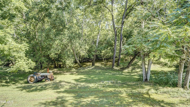 101 Timberlane Rd, Bristol, TN 37620 - photo 5