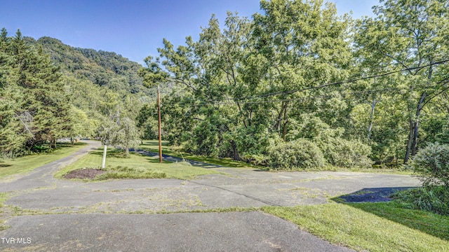 101 Timberlane Rd, Bristol, TN 37620 - photo 8