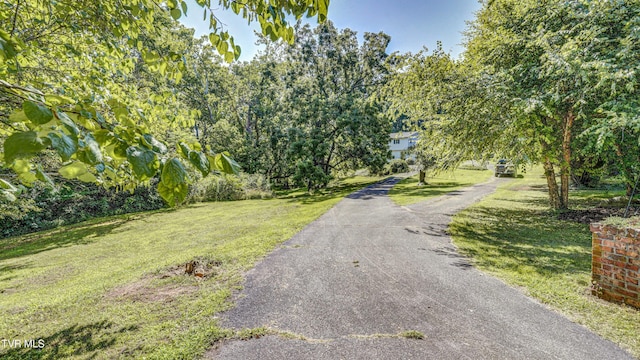 101 Timberlane Rd, Bristol, TN 37620 - photo 9