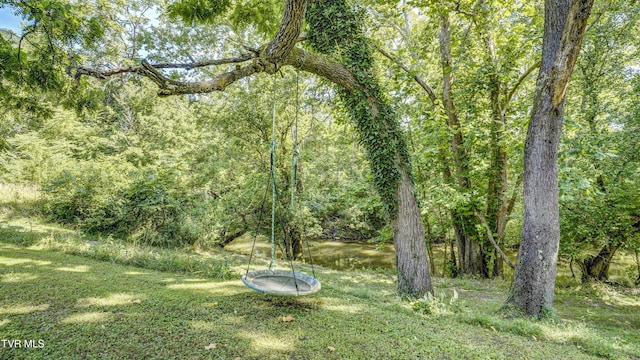 101 Timberlane Rd, Bristol, TN 37620 - photo 10