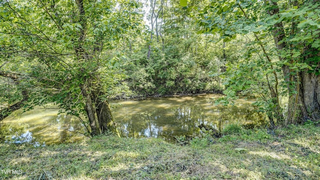101 Timberlane Rd, Bristol, TN 37620 - photo 11