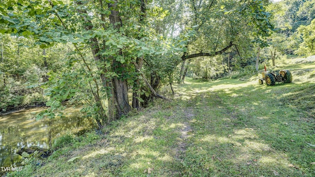 101 Timberlane Rd, Bristol, TN 37620 - photo 12