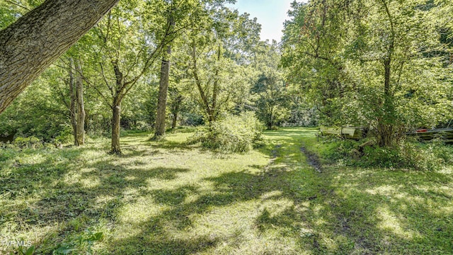 101 Timberlane Rd, Bristol, TN 37620 - photo 14
