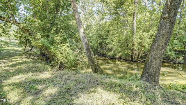 101 Timberlane Rd, Bristol, TN 37620 - photo 15