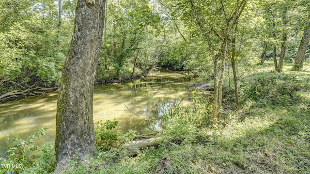 101 Timberlane Rd, Bristol, TN 37620 - photo 16