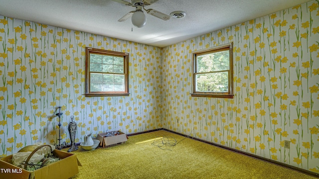 101 Timberlane Rd, Bristol, TN 37620 - photo 49