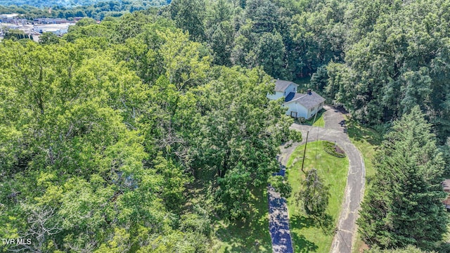 101 Timberlane Rd, Bristol, TN 37620 - photo 61