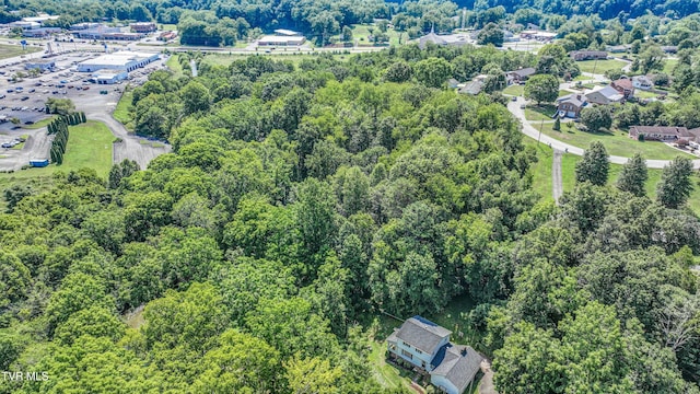 101 Timberlane Rd, Bristol, TN 37620 - photo 63