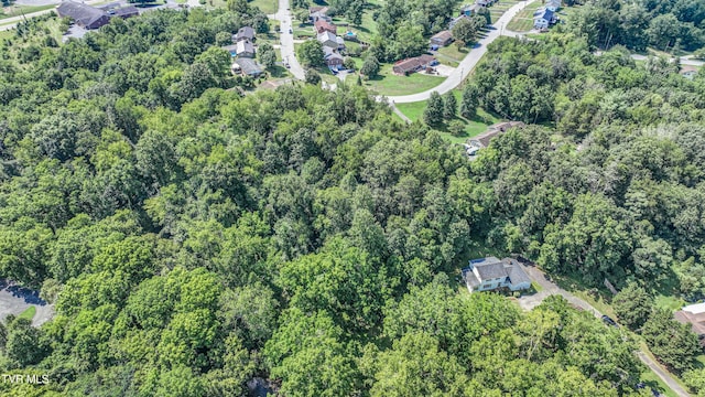 101 Timberlane Rd, Bristol, TN 37620 - photo 64
