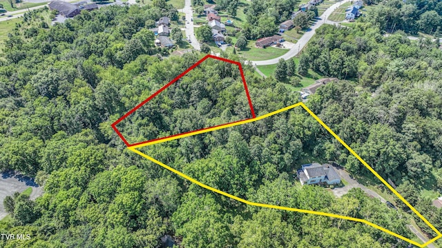 101 Timberlane Rd, Bristol, TN 37620 - photo 65