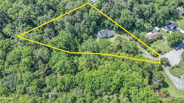 101 Timberlane Rd, Bristol, TN 37620 - photo 66