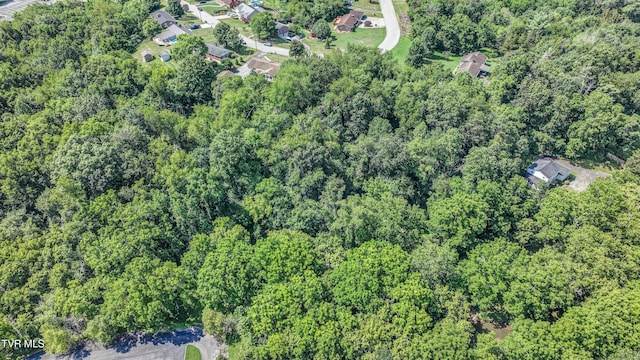 101 Timberlane Rd, Bristol, TN 37620 - photo 67