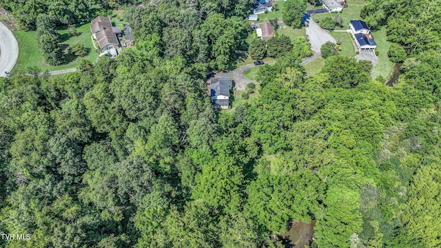 101 Timberlane Rd, Bristol, TN 37620 - photo 68