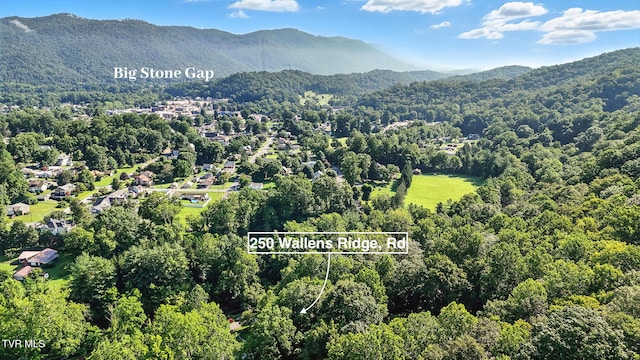 250 W Wallens Ridge Blvd, Big Stone Gap, VA 24219 - photo 40