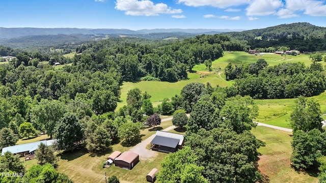 1674 Smyth Chapel Rd, Pennington Gap, VA 24277 - photo 9