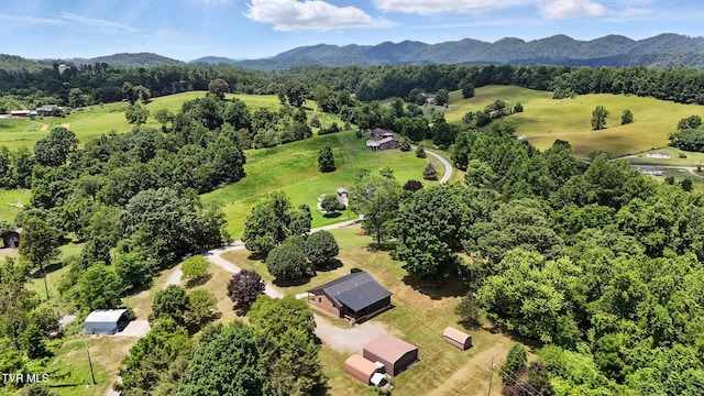 1674 Smyth Chapel Rd, Pennington Gap, VA 24277 - photo 10