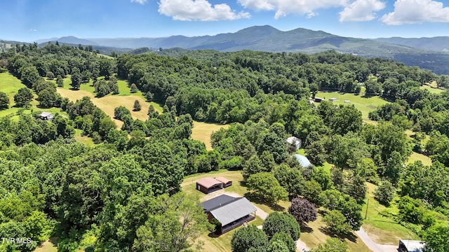1674 Smyth Chapel Rd, Pennington Gap, VA 24277 - photo 11