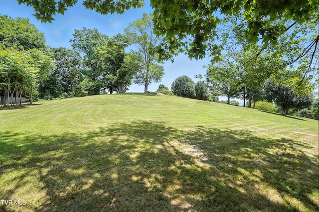 1674 Smyth Chapel Rd, Pennington Gap, VA 24277 - photo 15