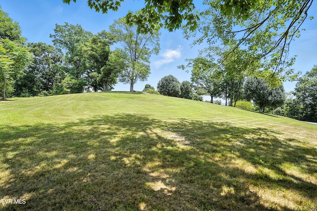 1674 Smyth Chapel Rd, Pennington Gap, VA 24277 - photo 17
