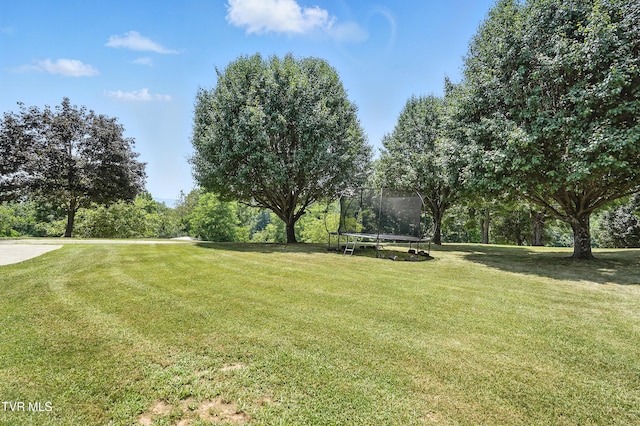 1674 Smyth Chapel Rd, Pennington Gap, VA 24277 - photo 18