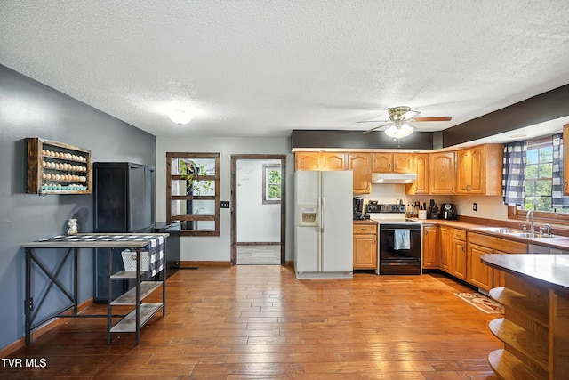1674 Smyth Chapel Rd, Pennington Gap, VA 24277 - photo 44